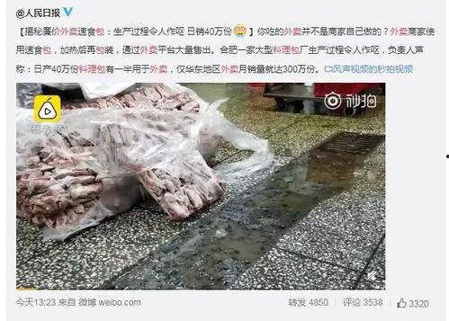 记者爆料野生水母视频大全,记者捕捉野生水母视频大全